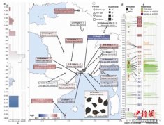 法国葡萄种植和酿酒如何跨越4000年？古代葡萄DNA研究揭开谜团