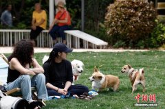 上海：市民在街头享受户外生活